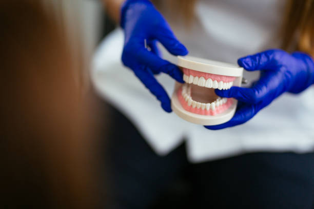 Best Dental Fillings (Composite and Amalgam)  in Topeka, IN